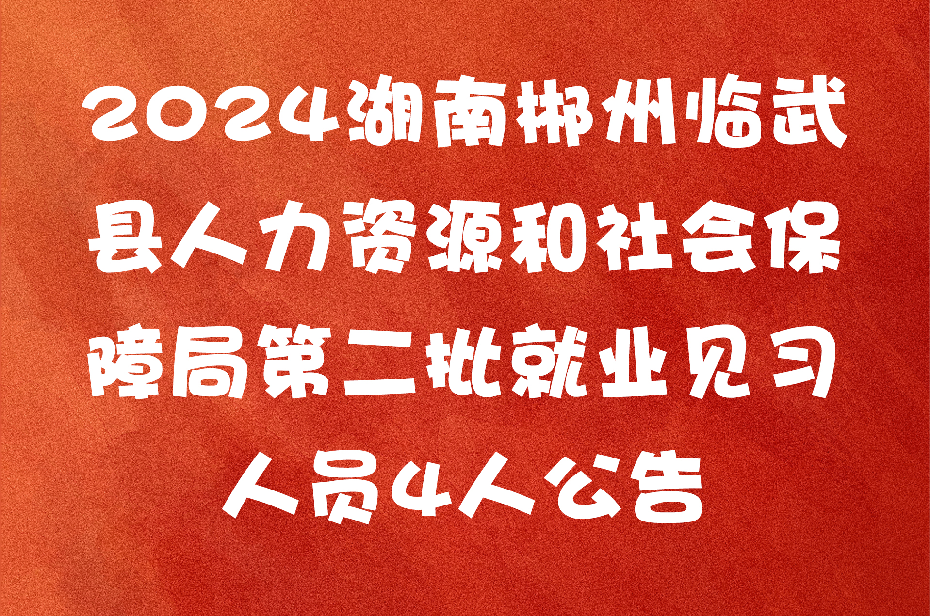 2024湖南郴州临武县人力资源和社会保障局第二批就业见习人员4人公告
