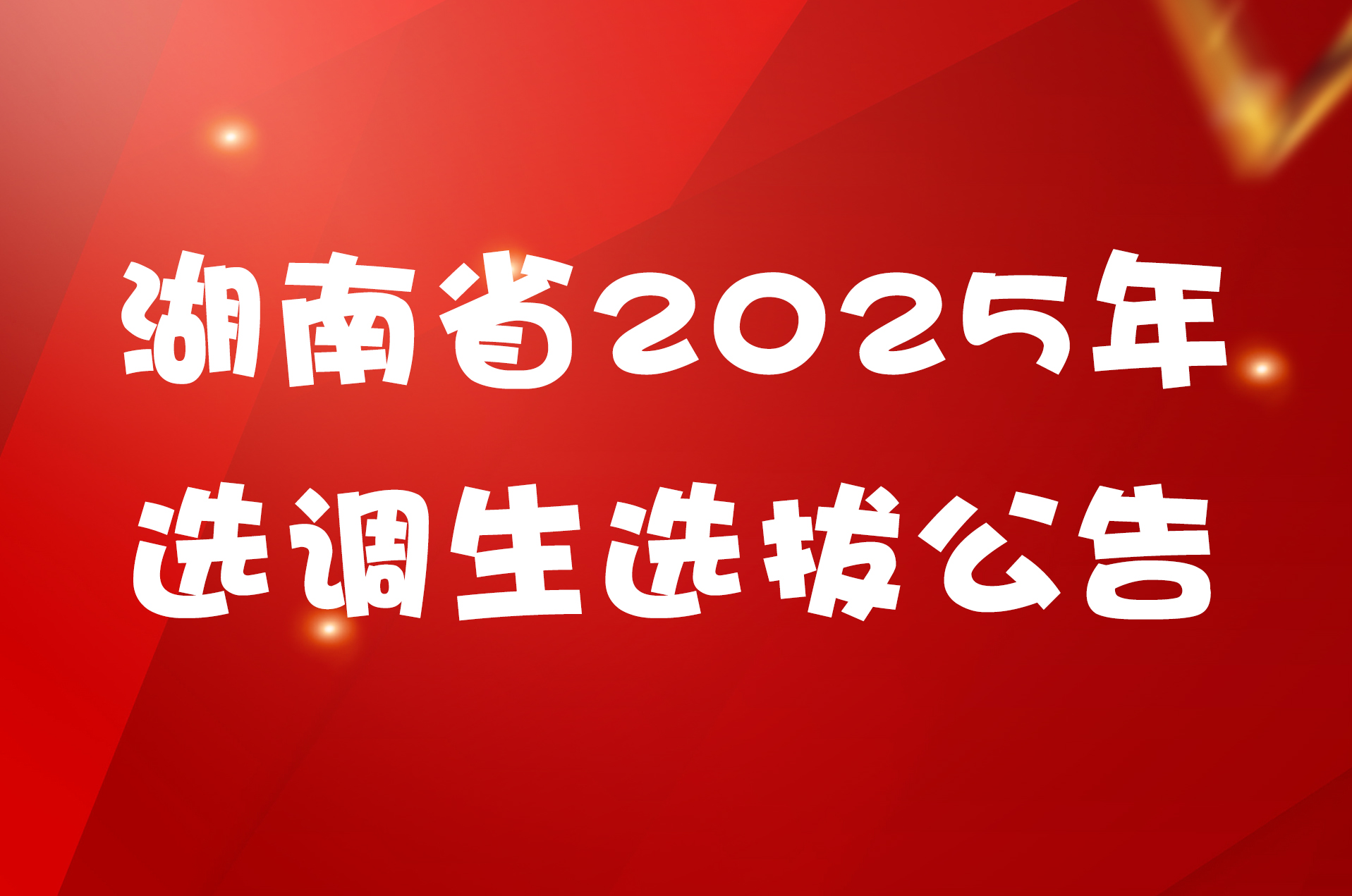 湖南省2025年选调生选拔公告