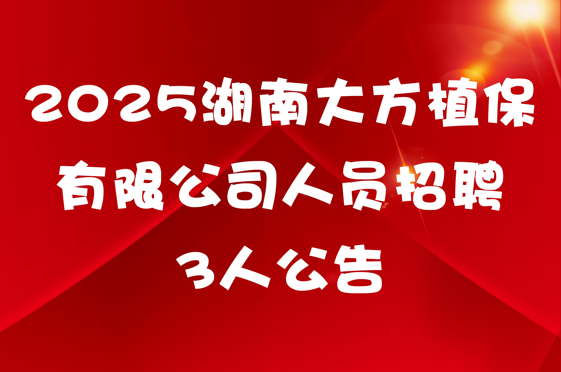 2025湖南大方植保有限公司人员招聘3人公告