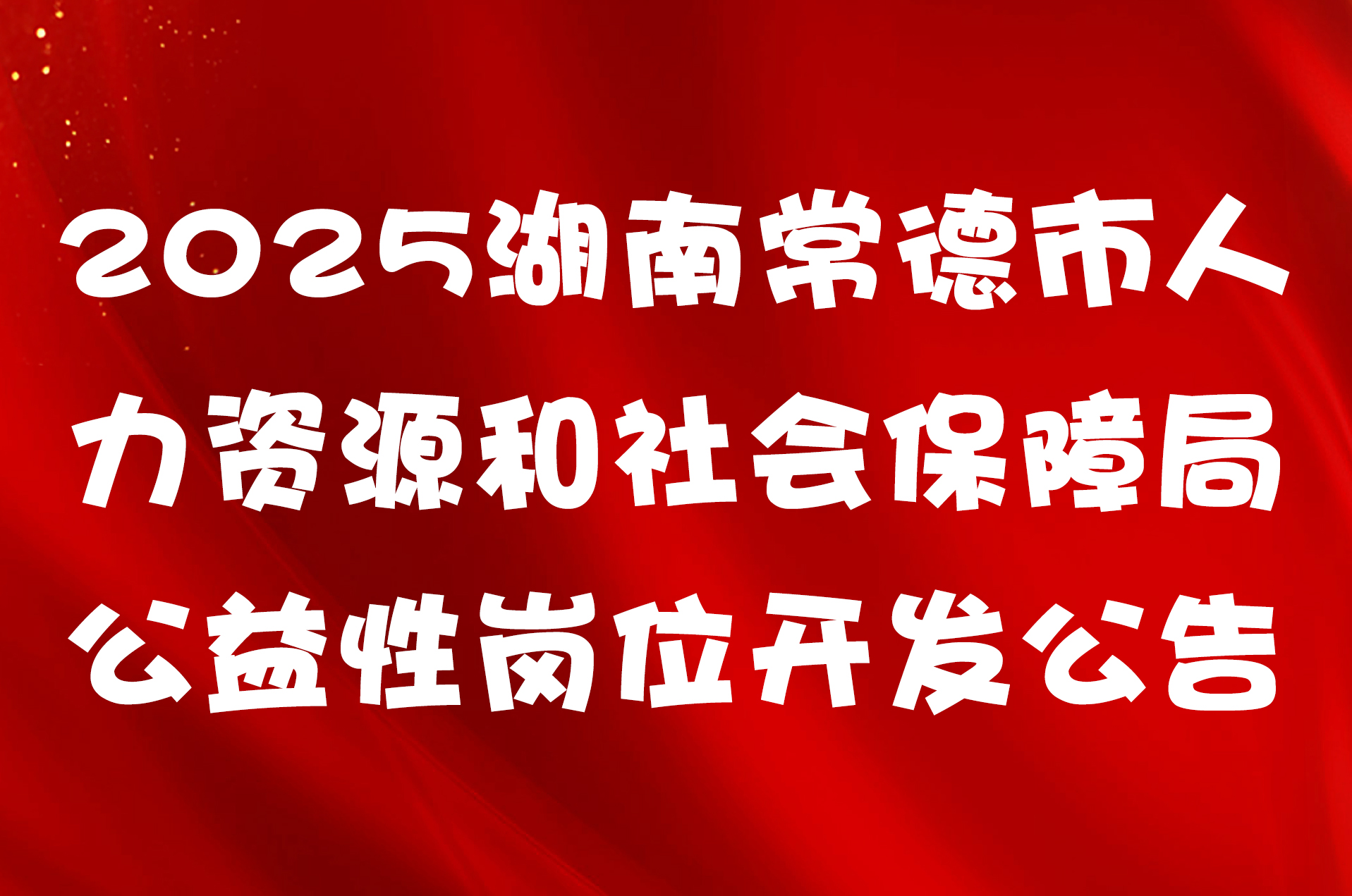 2025湖南常德市人力资源和社会保障局公益性岗位开发公告