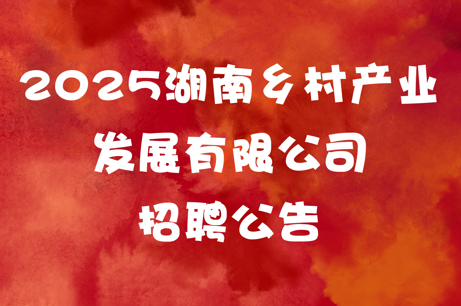 2025湖南乡村产业发展有限公司招聘公告