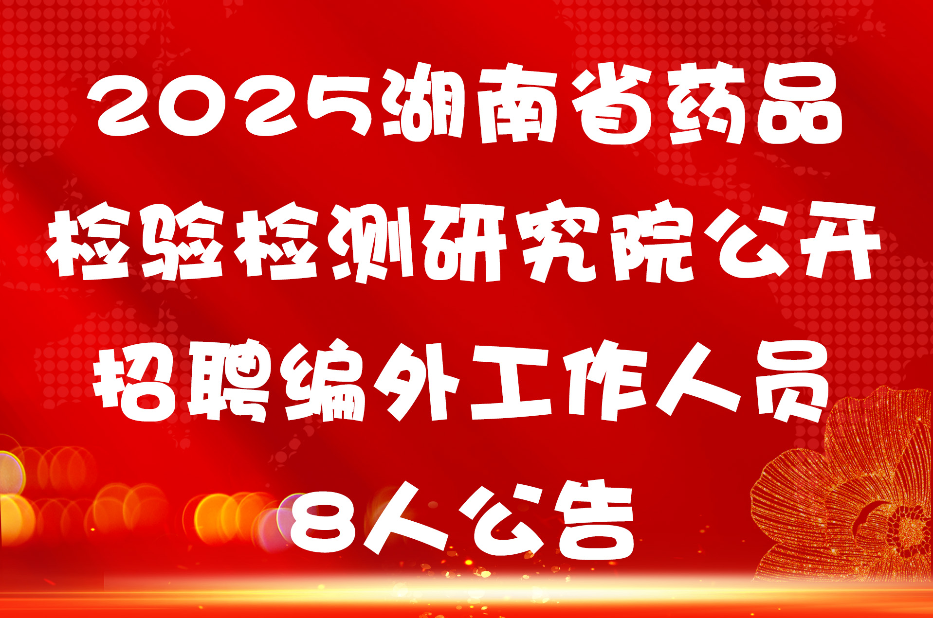 2025湖南省药品检验检测研究院公开招聘编外工作人员8人公告