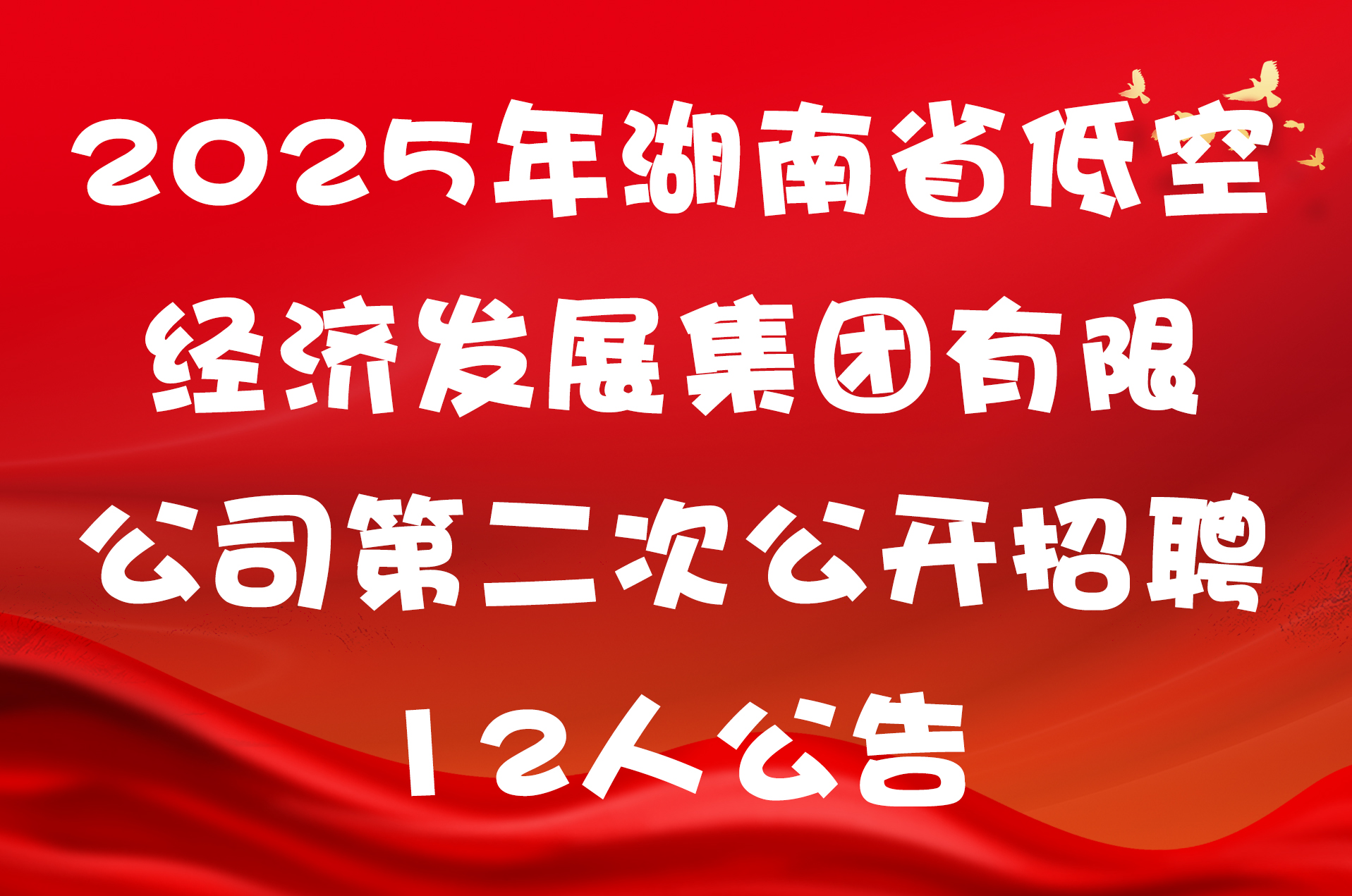 2025年湖南省低空经济发展集团有限公司第二次公开招聘12人公告