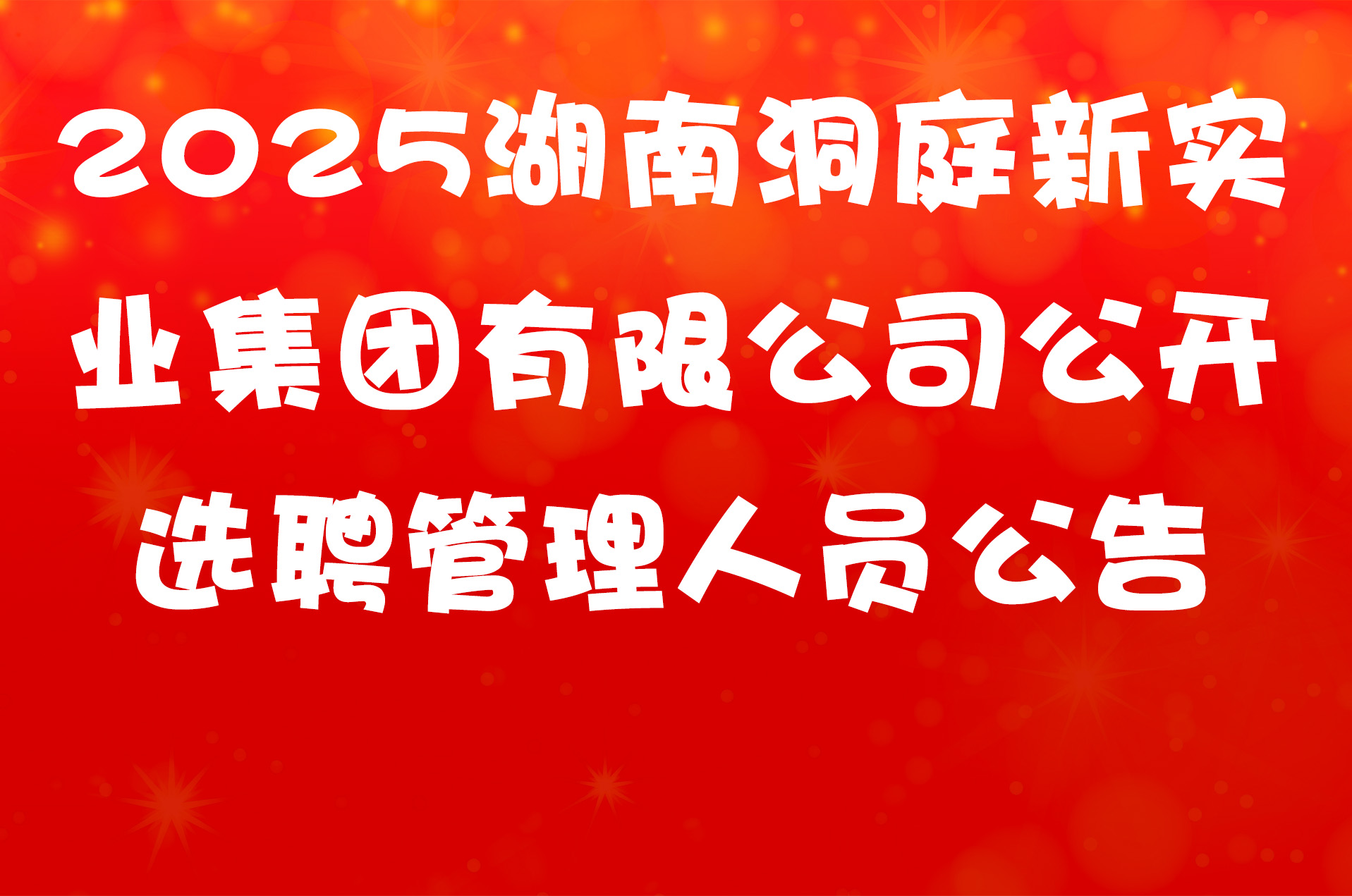 2025湖南洞庭新实业集团有限公司公开选聘管理人员公告