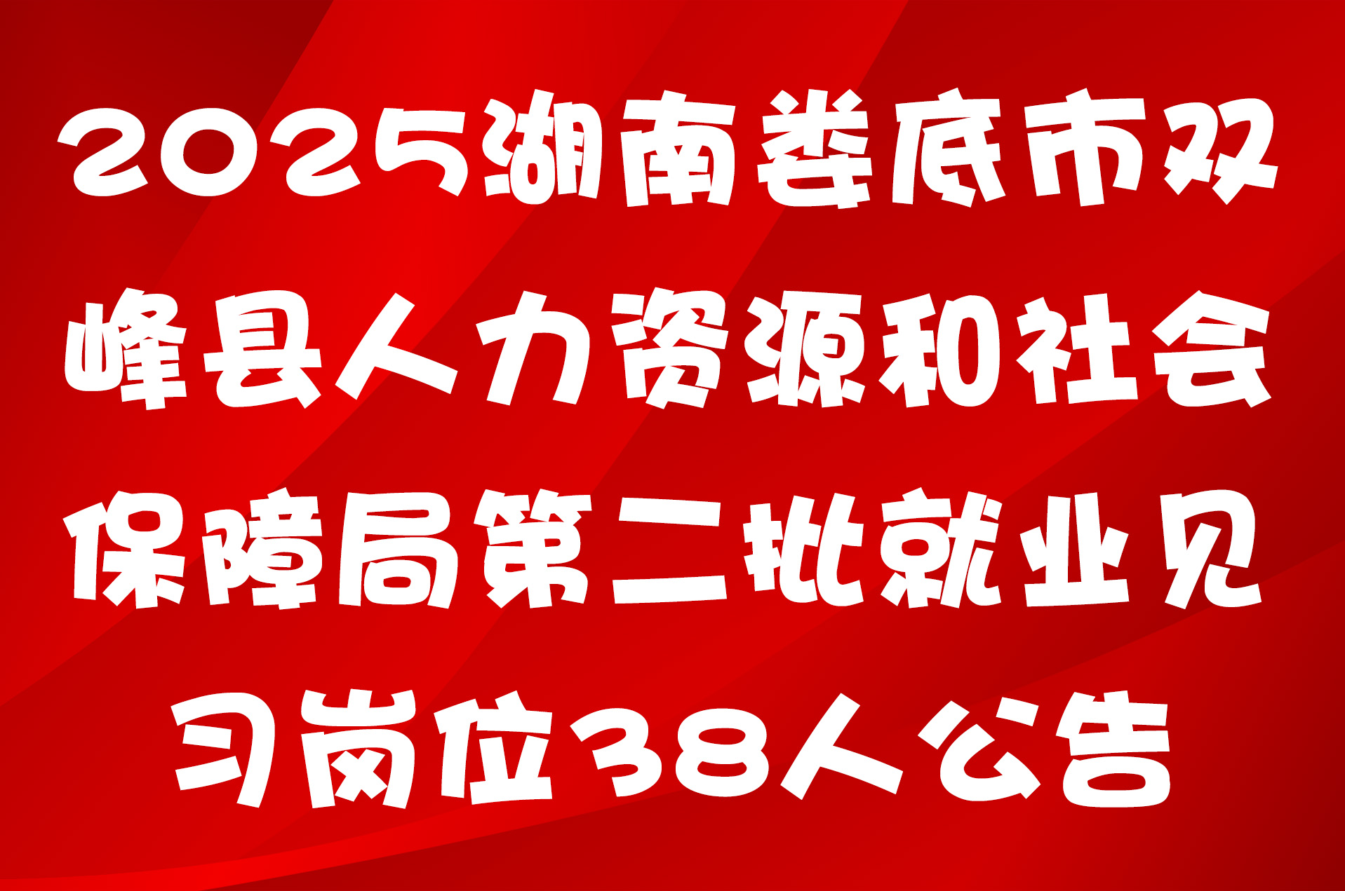 2025湖南娄底市双峰县人力资源和社会保障局第二批就业见习岗位38人公告